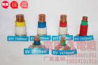 B V V 系列電纜 (含阻燃型、耐...